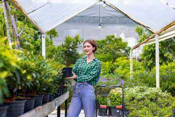Obraz premium Young caucasian customer is choosing exotic plant from the local garden center nursery with shopping cart full of summer plant for weekend gardening and outdoor pursuit