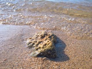 Fragments of coral reefs on the beach