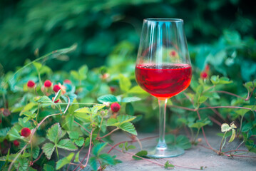 A glass of red wine against the background of bushes with wild strawberries