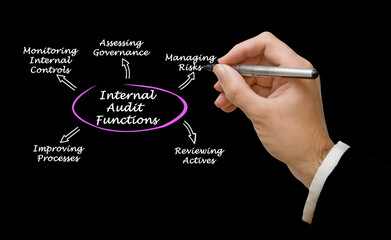Presenting Five Internal Audit Functions