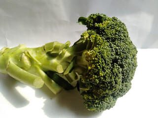 broccoli isolated on a white background