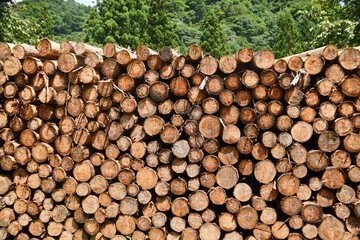 積み上げられた丸太