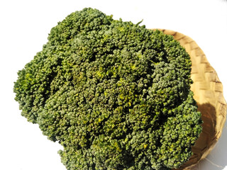 broccoli isolated on a white background