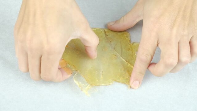 smoker breaks golden cannabis extract wax with his hands. High quality FullHD footage