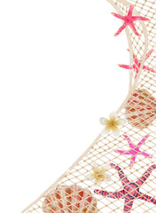 Beach and summer background elements watercolor with transparent background