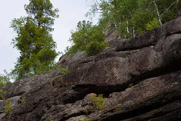 Forest and Huge stones in the forest covered with moss. Background for your design. Forest ecology.