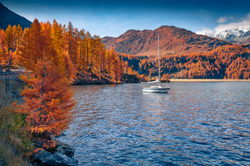 Single yacht on the Sils lake. Red hills with larch trees in Swiss Alps. Splendid autumn view of Switzerland, Europe. Traveling concept background.