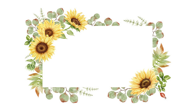Watercolor sunflower rectangle frame. Yellow flowers, eucalyptus, rosehip, leaves and plants. Autumn arrangement. Isolated on white background. Fall clipart. Botanical illustration.