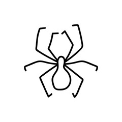 spider in doodle style