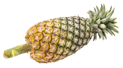 Pineapple fruit isolated on white background, Fresh Pineapple on White Background With png file.