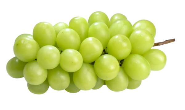  Green grape isolated on white background With png file Shine Muscat Grape with leaves on white background,