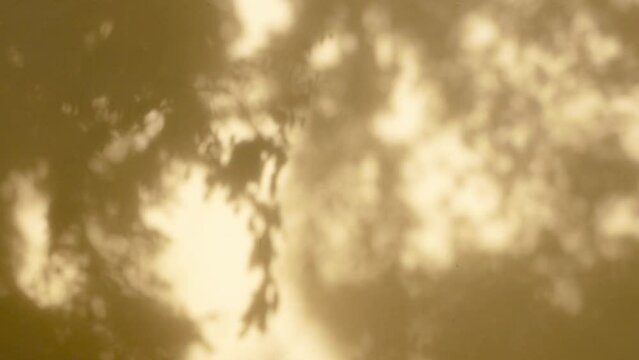 Morning sunlight and tree shadows blowing by wind reflecting on yellow wall overlay on flat surface.