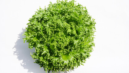 ハンサムグリーン