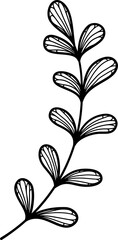 line art botany plant branch leaves black and white transparent background