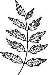 line art botany plant branch leaves black and white transparent background