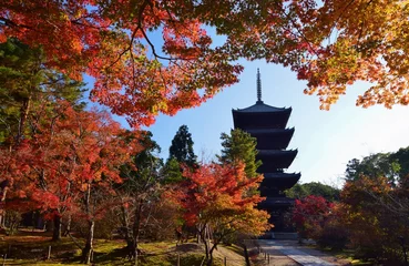 Tuinposter 秋の京都　紅葉の仁和寺 © sada