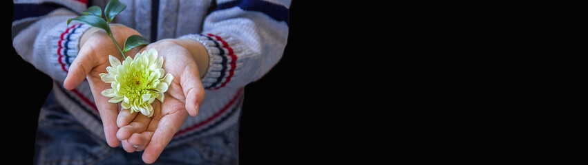 Selective focus, children's palms holding a flower. Close-up copy space banner