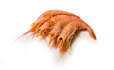 Langostino
