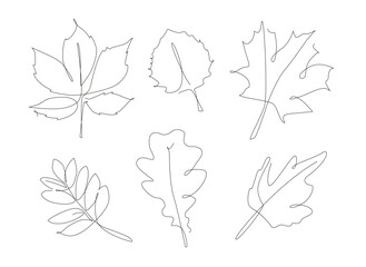 Forest leaves one line set. Autumn leaf linear collection. Simple outline leaves.