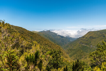 View from Levada do Alecrim in Madeira