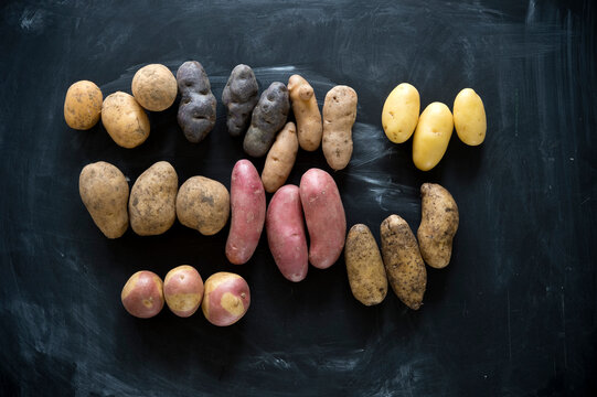 Studio shot of different varieties of potatoes flat laid against black background