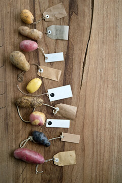 Studio shot of different varieties of labeled potatoes flat laid against wooden background