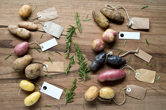 Studio shot of different varieties of labeled potatoes flat laid against wooden background
