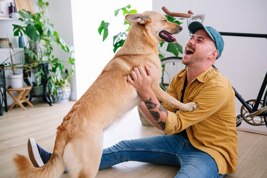 Cheerful man playing with dog in living room at home - Powered by Adobe