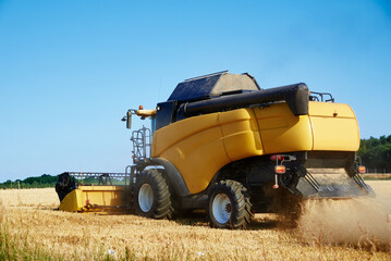 Combine harvester collecting golden wheat field, Harvesting machine working at agricultural field,...