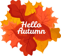 Hello autumn illustration with leaves. Vector flat