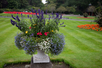 Jardin, Dublin, Irlande
