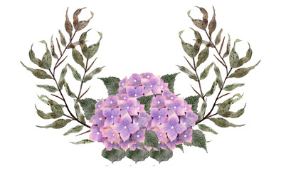 Hydrangea Watercolor flowers with transparent background