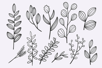 flower leaves doodle hand drawn vector illustration set