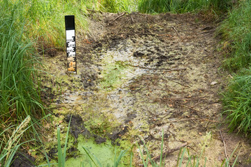 Water level meter indicating low level in a forest brook.