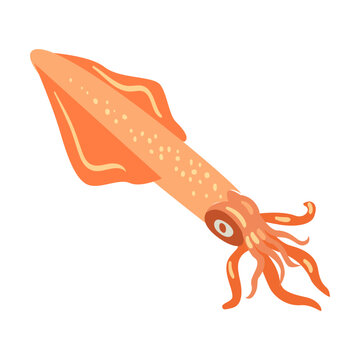 Various marine animals flat icon. Cartoon cute squid isolated vector illustration. Sea or ocean underwater life