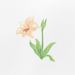 Fototapeta premium Watercolor painting of flowers, leaves, orange, green