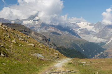 Marmotte au bord du chemin