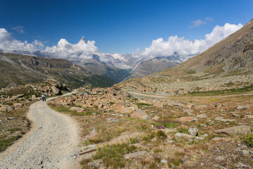 Fototapeta premium Vue vers le Cervin depuis Fluhalp