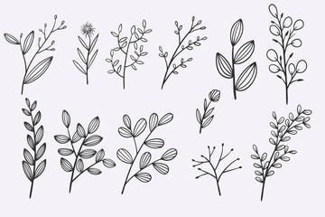 flower leaves doodle hand drawn vector illustration set