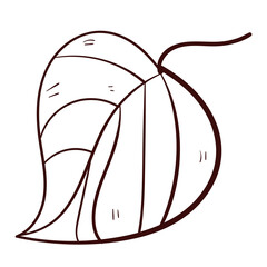 Botanical leaves set. Vector nature icon. Doodle illustration on white background.