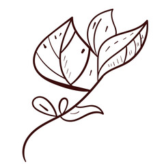 Botanical leaves set. Vector nature icon. Doodle illustration on white background.