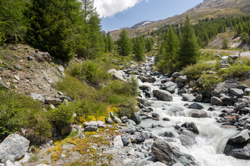 Rivière de montagne
