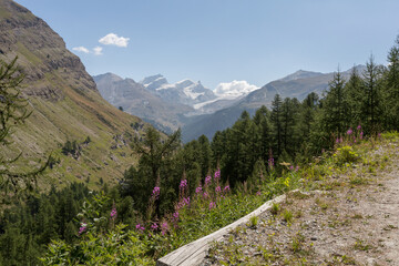 Vers Zermatt