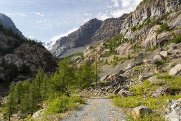 Fototapeta na wymiar Vallée du glacier de Furi