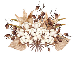 Dried cotton flower and dried leaves watercolor with transparent background