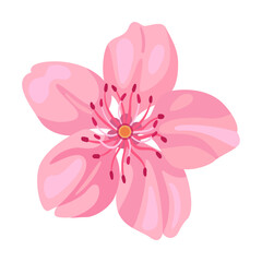 Sakura blossom pink flowers. Flat vector illustrations for spring in Asia, nature, blooming