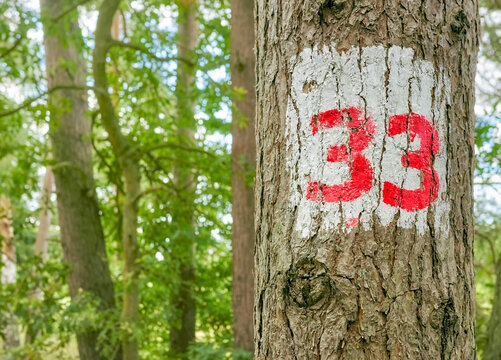 "Number 33" Bilder – Durchsuchen 23,848 Archivfotos, Vektorgrafiken und ...