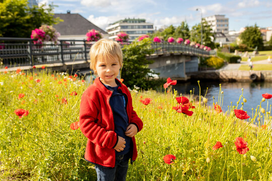 Beautiful Town Kristiansand In Norway, Family Visiting Norway For Summer Vacation