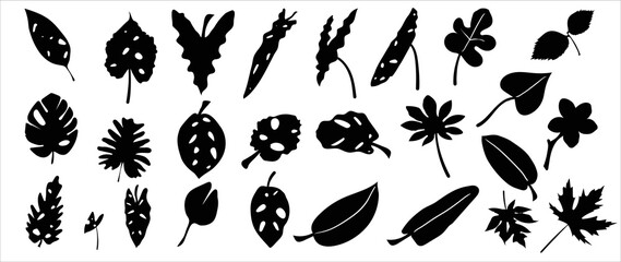 Collection of silhouette leaf elements. Set of tropical plants, leaf branch, palm, monstera, maple, foliage, flower. Hand drawn of botanical vectors for decor, website, graphic, decorative.