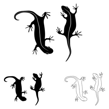Set of lizards reptile gecko outline and black silhouette vector illustration. Simple line and black silhouette art illustration isolated on white background. Template for prints